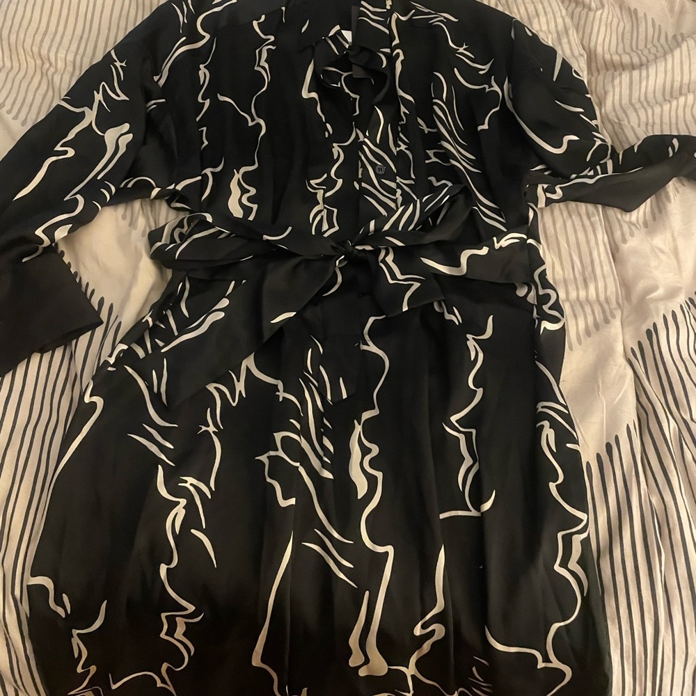 COPY - Zara dress - Picture 6 of 12